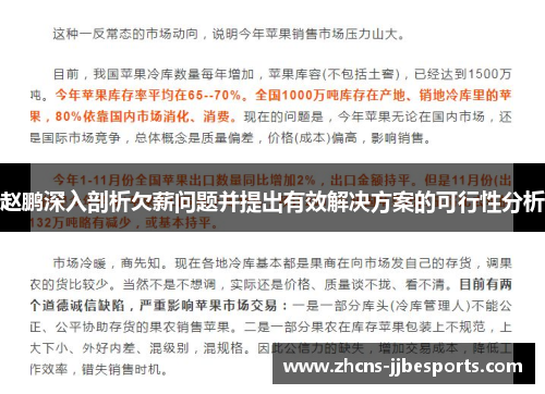 赵鹏深入剖析欠薪问题并提出有效解决方案的可行性分析