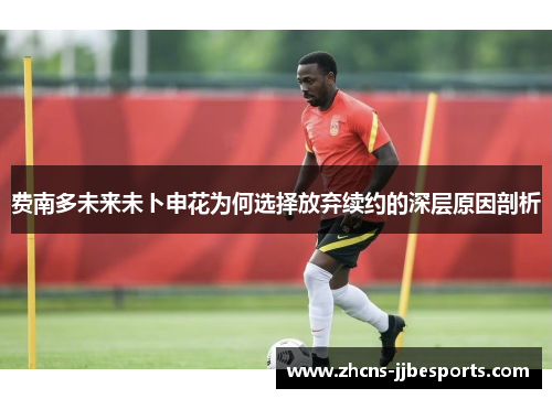 费南多未来未卜申花为何选择放弃续约的深层原因剖析